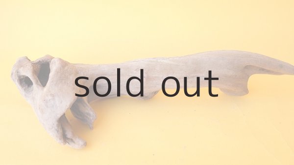 画像4: 変形流木 (4)