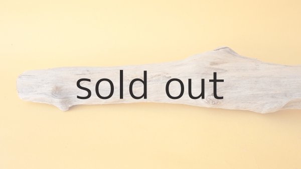 画像5: 流木根 (5)