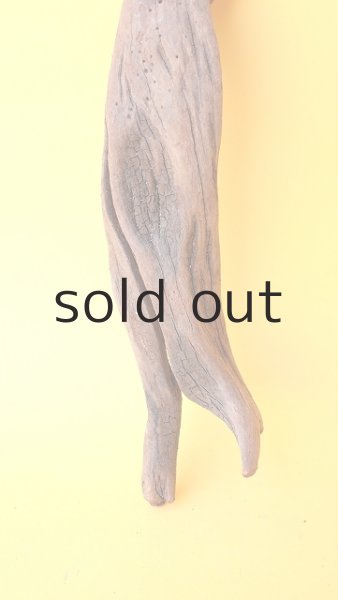 画像2: 変形流木 (2)