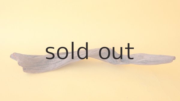 画像4: 変形流木 (4)