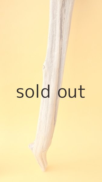 画像5: 変形流木 (5)