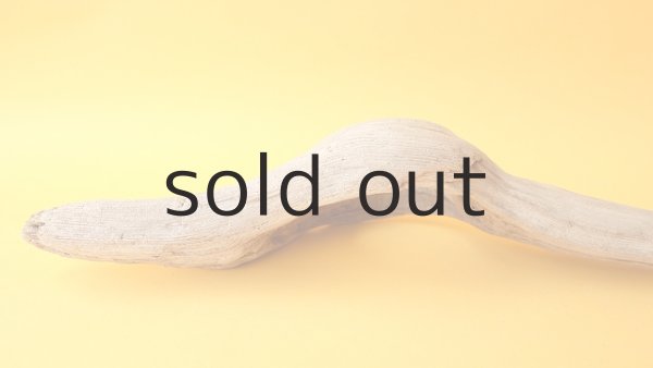 画像6: 変形流木 (6)