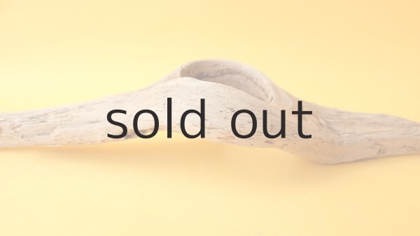 画像5: 変形流木 (5)