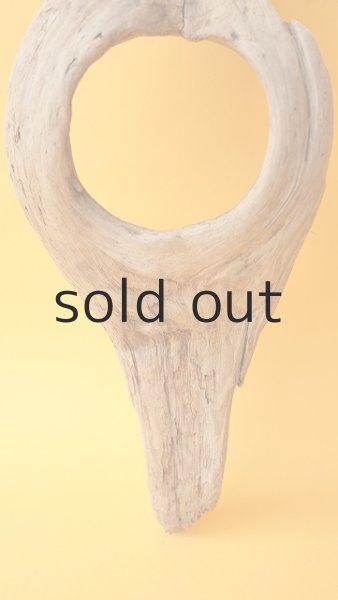 画像2: 変形流木 (2)