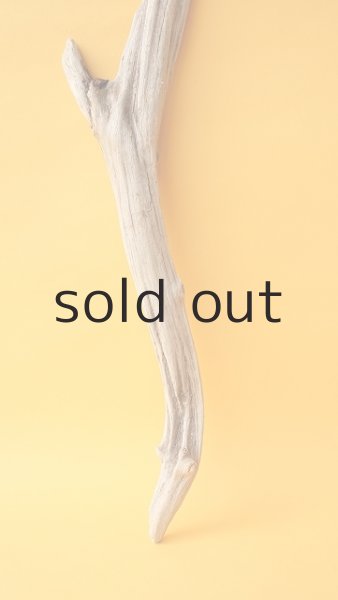 画像2: 変形流木 (2)