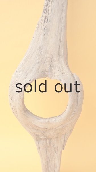 画像3: 変形流木 (3)