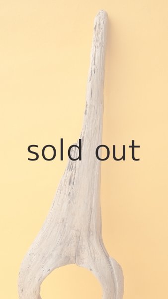 画像4: 変形流木 (4)