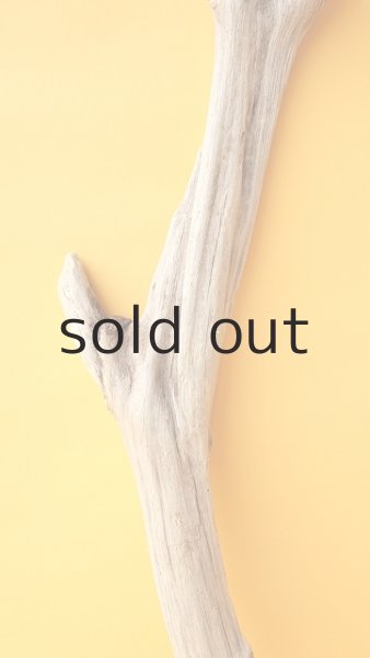 画像3: 変形流木 (3)