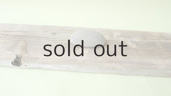 画像6: 板流木 (6)