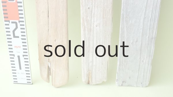 画像6: 板流木セット (6)