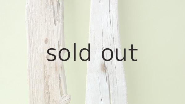 画像3: 板流木セット (3)