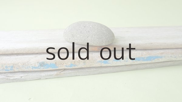 画像7: 板流木セット (7)