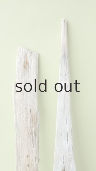 画像4: 板流木セット (4)