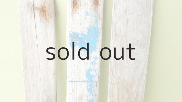 画像4: 板流木セット (4)