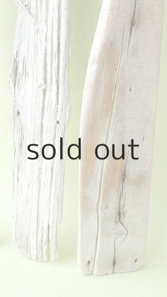画像5: 板流木セット (5)