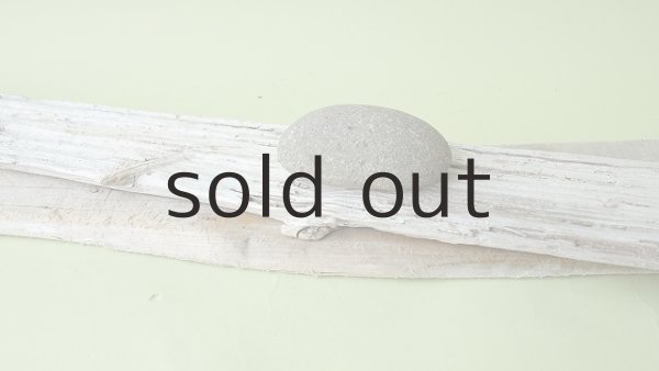 画像6: 板流木セット (6)