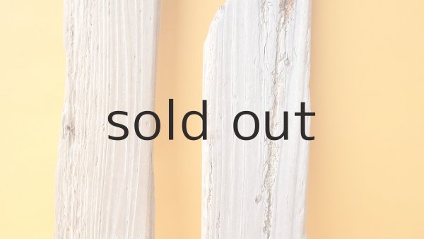 画像4: 板流木セット (4)