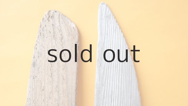 画像4: 板流木セット (4)