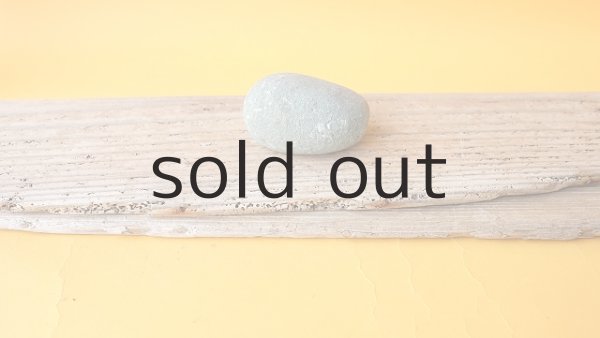 画像5: 板流木セット (5)