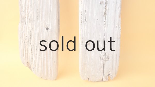 画像2: 板流木セット (2)