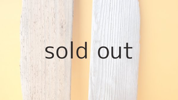 画像3: 板流木セット (3)