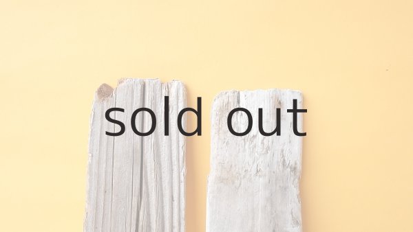 画像4: 板流木セット (4)