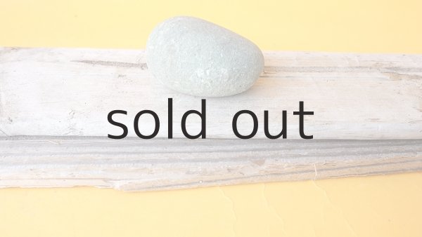 画像5: 板流木セット (5)