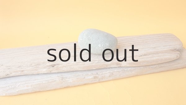 画像5: 板流木セット (5)