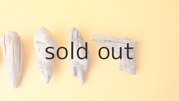 画像4: 変形流木セット (4)