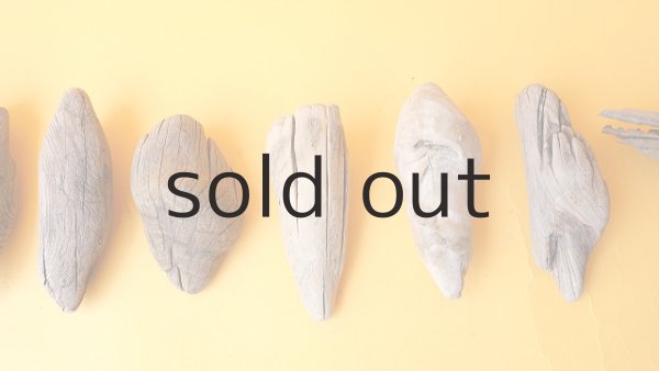 画像3: 変形流木セット (3)