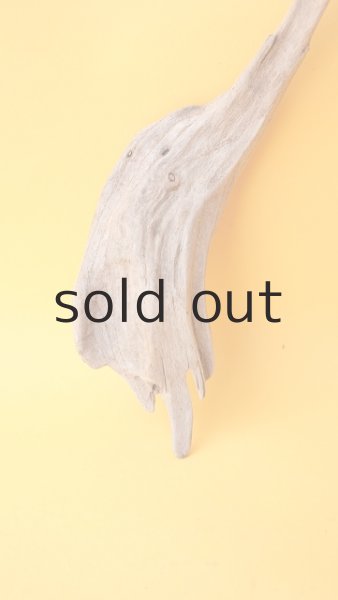 画像2: 変形流木 (2)