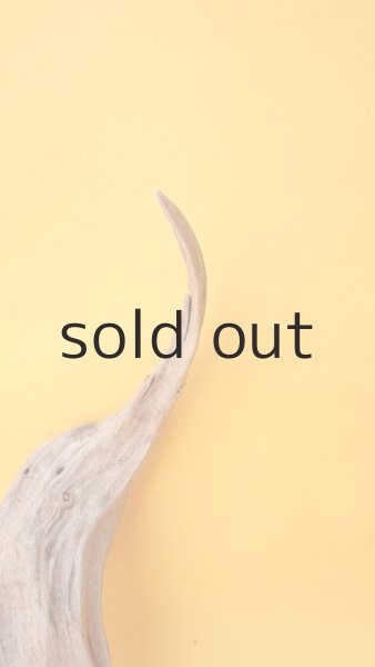 画像3: 変形流木 (3)