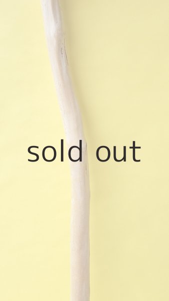 画像3: 幹流木 (3)