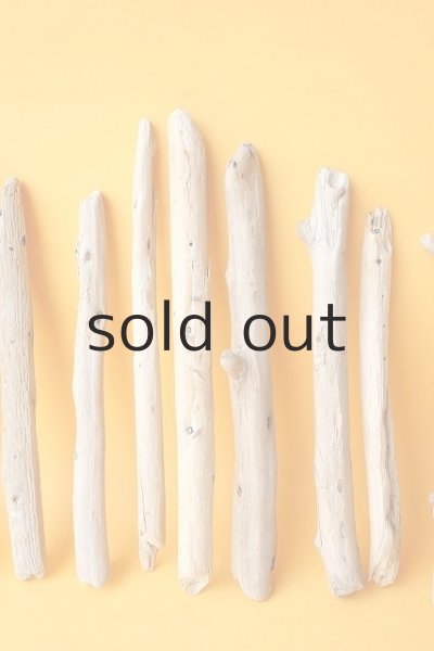 画像3: 棒流木セット (3)