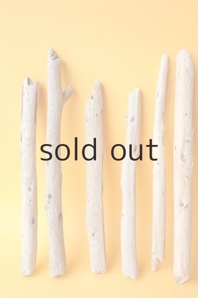 画像2: 棒流木セット (2)