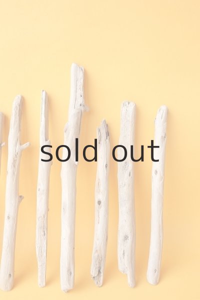 画像5: 棒流木セット (5)