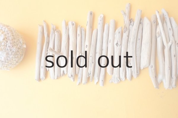 画像2: 棒流木セット (2)