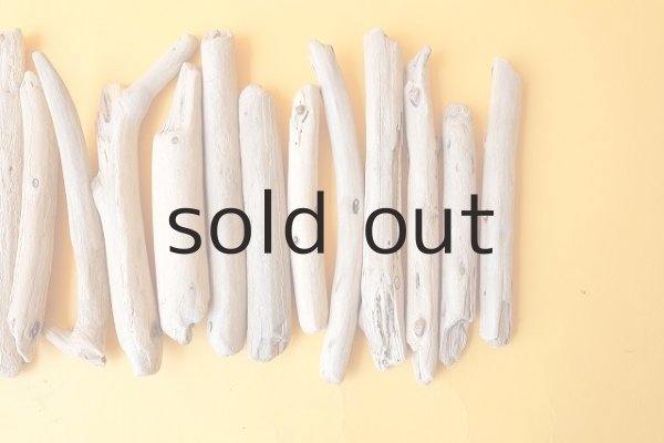 画像4: 棒流木セット (4)