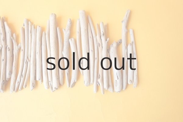 画像4: 棒流木セット (4)