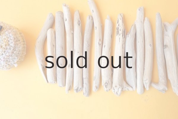 画像2: 棒流木セット (2)