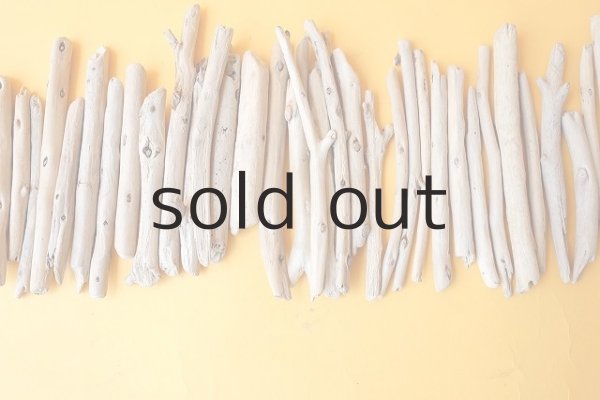 画像3: 棒流木セット (3)