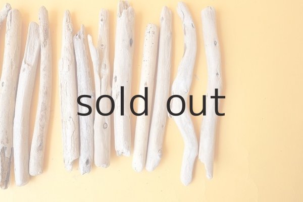 画像4: 棒流木セット (4)