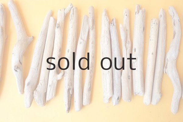 画像3: 棒流木セット (3)