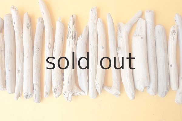 画像3: 棒流木セット (3)