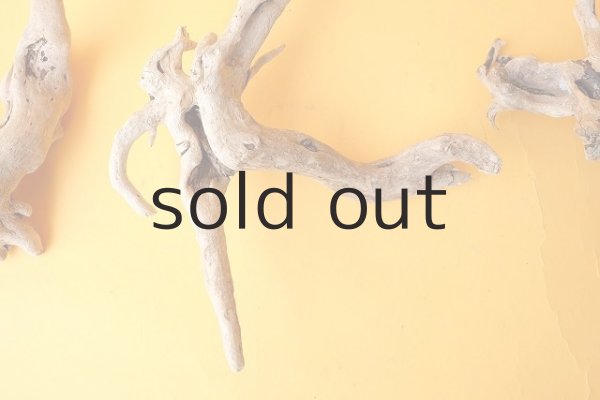 画像3: ミニ流木根セット (3)