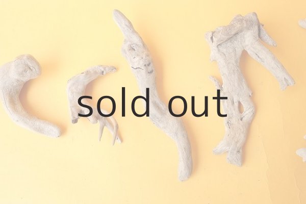 画像3: ミニ流木根セット (3)