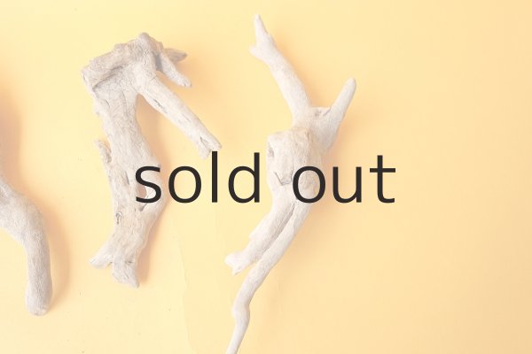 画像4: ミニ流木根セット (4)