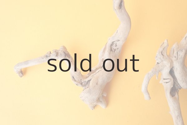 画像2: ミニ流木根セット (2)