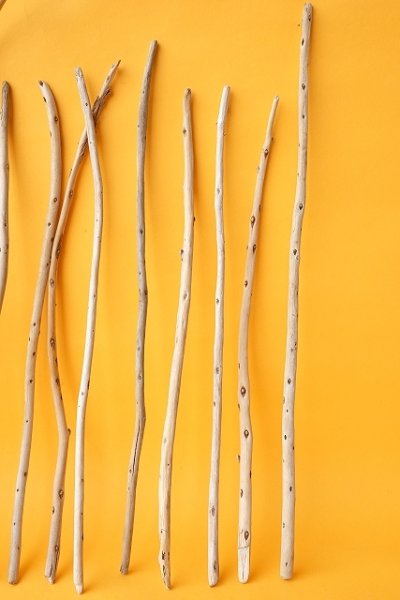 画像3: 棒流木セット (3)