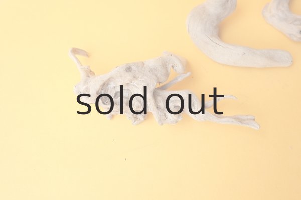 画像6: ミニ流木根セット (6)